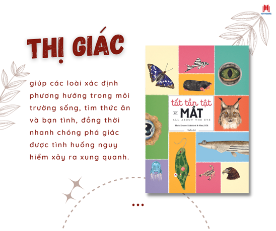 Tất Tần Tật Về Mắt - Khám Phá Cửa Sổ Tâm Hồn Của Muôn Loài
